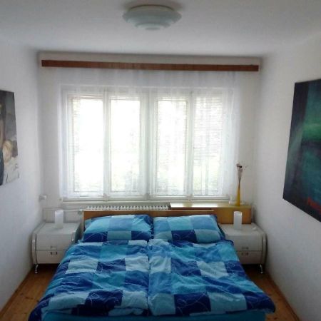 U Zaludu Apartamento Ledenice Exterior foto