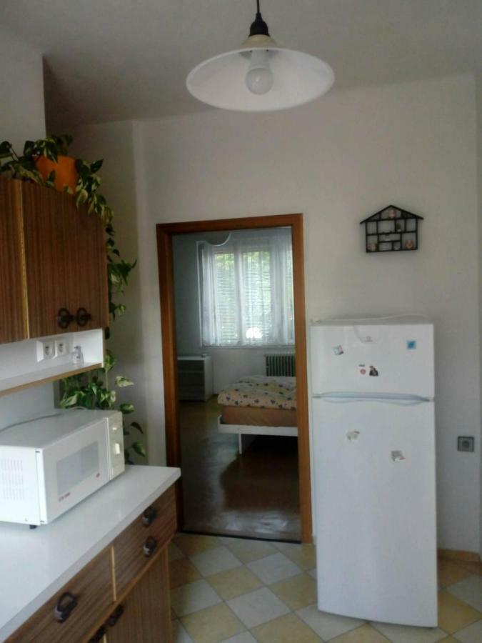 U Zaludu Apartamento Ledenice Exterior foto